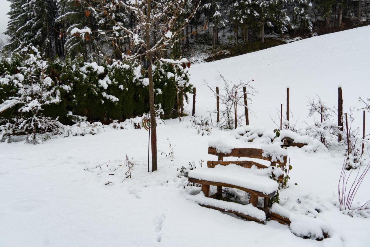 Naturoase Appartements Mirnock Afritz Dış mekan fotoğraf