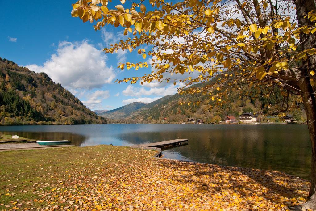 Naturoase Appartements Mirnock Afritz Dış mekan fotoğraf