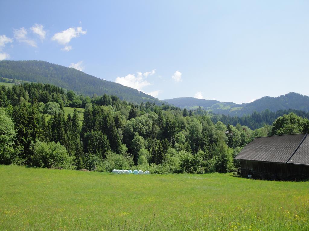 Naturoase Appartements Mirnock Afritz Dış mekan fotoğraf